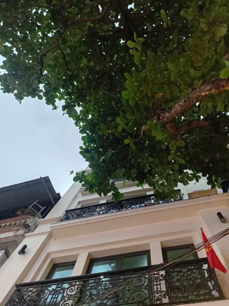 【体験談】ベトナムの不動産事情|賃貸契約の流れと注意点