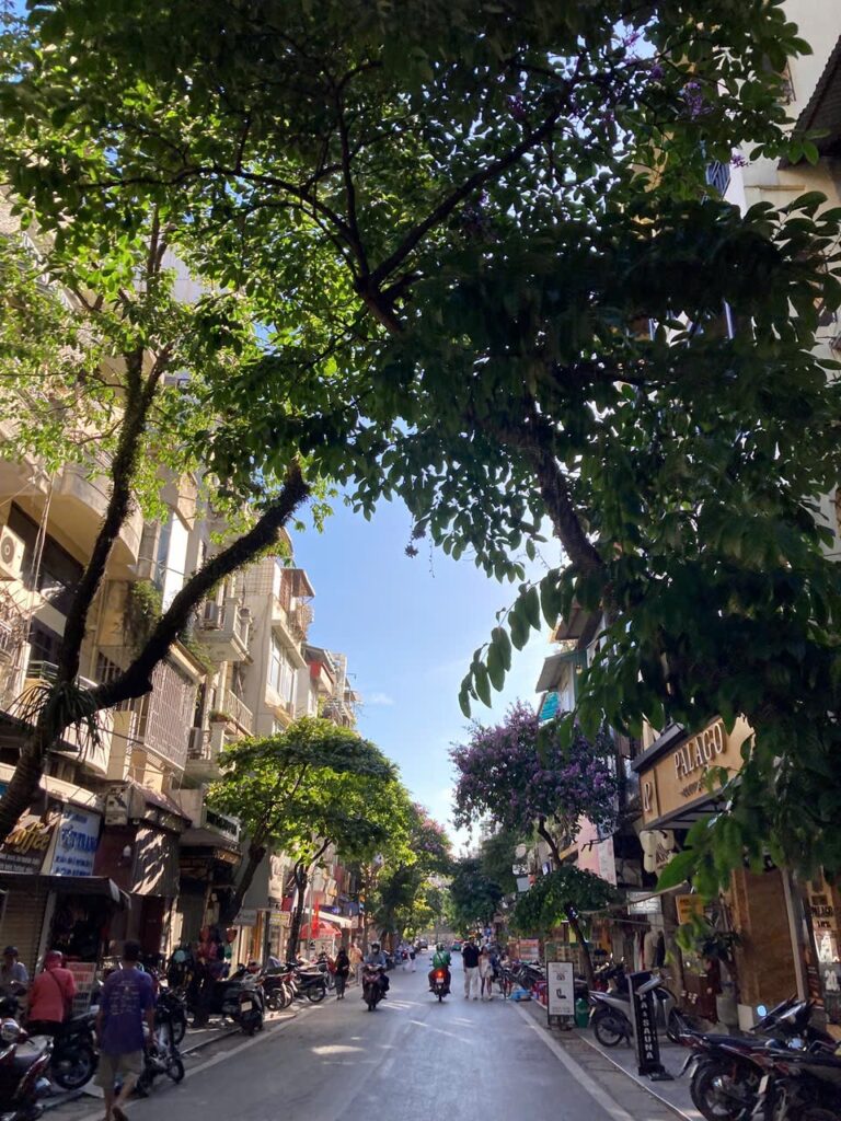 【ベトナム進出/移住】失敗しないための市場調査の基本