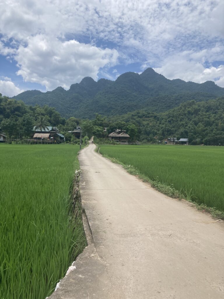 【現地情報】ベトナムの祝日と祝祭|生活・ビジネスの必須知識