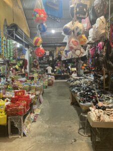 【ベトナム進出／移住】出張の限界｜現地調査の必要性