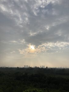 【体験談】情報の本質とは何か